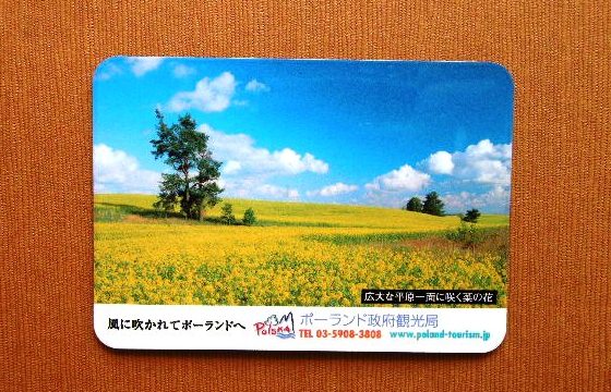 ポーランド政府観光局シートマグネット作例 菜の花